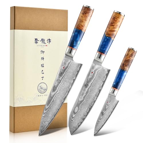 Image of Japanese Chef Knife Set 3 Pcs, 67-Layer Damascus Kitchen Knife Set with VG10 Steel Core, Professional Sharp Damascus Knives with Ocean-Blue Ergonomic Handle, Include Elegant Cooking Gifts Box