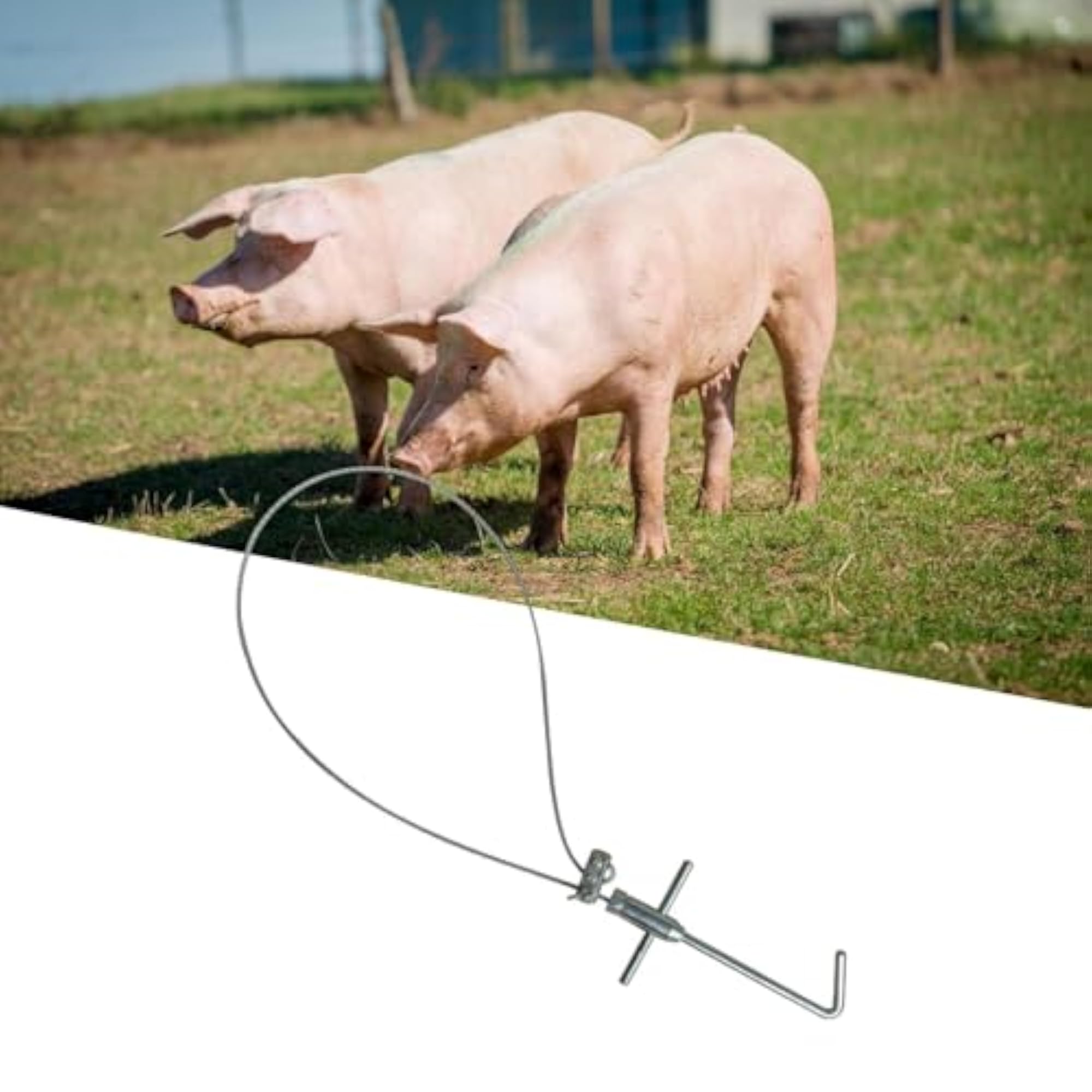 Adjustable Length Pig Holder Catcher Tool