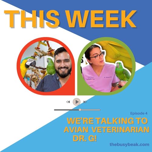 Exclusive interview with Bird Vet Extraordinaire, Dr. G!