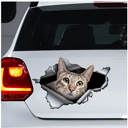 WYZDGTD Etiqueta engomada del Coche del Gato de la Sabana imán del Gato de la Sabana Etiqueta engomada del Gato de la Sabana Etiqueta engomada 3D decoración del Coche 2 uds Lado más Largo 21 Cm Cover