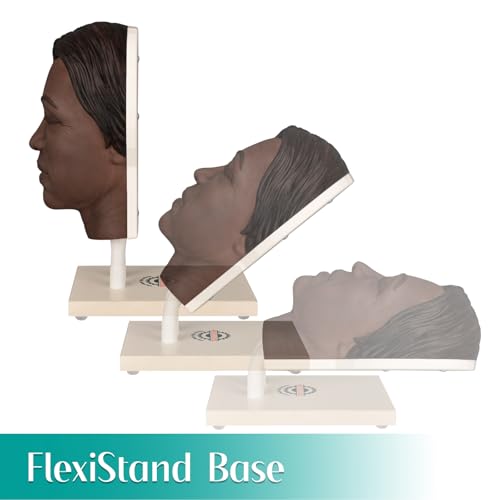 MedEduQuest Injection Face Training Model for Facial Injection Practice, Silicone Mannequin Face for Micro-Plastic Teaching, Esthetician‘s Class Injection Training to Medical Student - Kaya Model