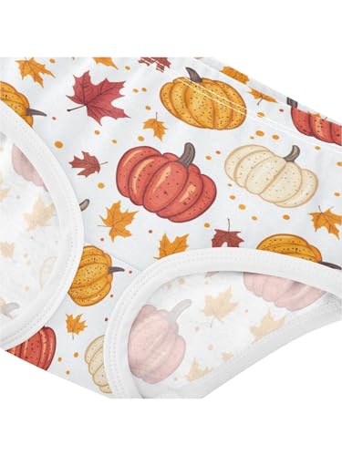 ZZKKO Maple Leaves and Pumpkins Girls Underwear Toddler Panties for Girls Comfort Brief Size 2T4