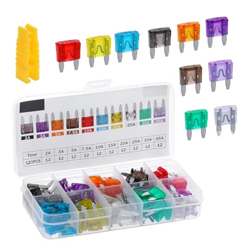 Zigeiya 120 PCS Car Fuses, 10 Sizes Mixed Assortment Kit