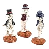 Jolie figurine de momie - elle a l'air très spéciale et unique, sous la forme d'un squelette avec une finition soignée, un décor de mini momie réaliste.