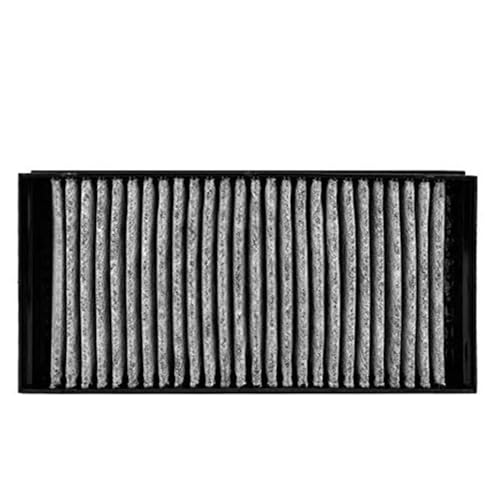 Filtro de habitáculo para BMW X5 E70 contra el polen molesto 6