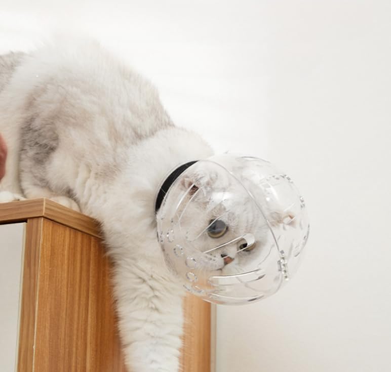 Amazon | 猫エリザベスカラー 猫用ヘッドカバー ペット口輪 透明