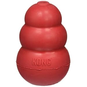 KONG Classic Medium Dog Toy Red Medium Pack of 2