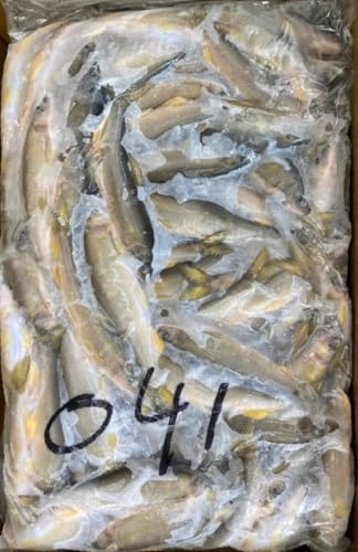 国産 あゆ ブロック 黒B品 尾約40/60g 3Kg×40BL 冷凍 業務用