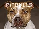 Pit Bull 2022 Wall Calendar Cute Funny Dog Breed Pit Bulls Puppies Pets Pitbull Calendar Large 18...
