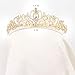 Didder Gold Crystal Tiara Crown Headband Princess Elegant Crown with combs for Women Girls Bridal Wedding Prom Birthday Party