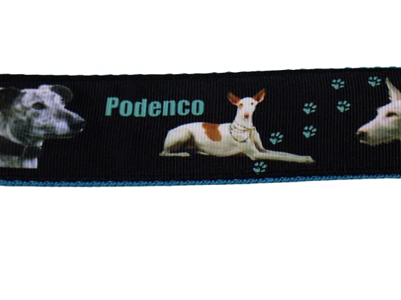 Halsband 'Podenco' Größe SM bis 40 cm Halsumfang