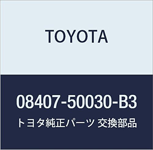 TOYOTA (toyota) Genuine Parts nanba-hure-muhuronto・riyasetto Part Number 08407 – 50030 – B3