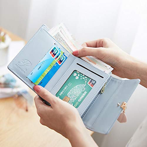 Listado de Carteras y monederos para Mujer Top 10. 6 Carteras y monederos para Mujer marca PERANNU (3)