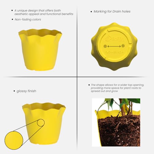Image of YUCCABE ITALIA SHERA 4 Inch Plastic Flower Pot 12 Piece Set of Unbreakable Round Shape Planter for Home Garden Seedling, Indoor and Outdoor (Yellow)