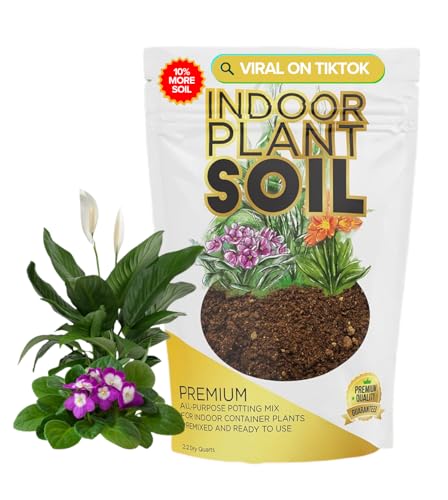 Professional Indoor Plant Soil Mix Large 2.2 Quarts Ready to Use, Premium Potting Soil for Indoor Houseplants Container Plants, Peat Coco Coir Perlite Dolomite Blend Made in USA