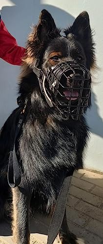 Dingo Gear Gummierte metallmaulkorbe für Rottweiler Hündin Professionelle Bequeme universelles Produkt für Langen Spaziergängen S03045