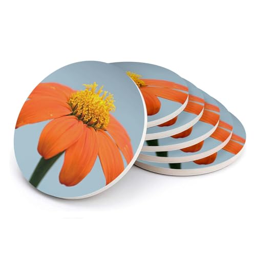Sous-verre ronds en céramique d'art floral lot de 6 dessous de table - 2