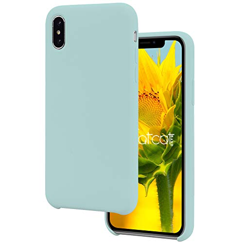 FatcatBand Hülle für iPhone XS/iPhone X (5,8"), Silikon Dünne HandyHülle Stoßfest Slim hülle Premium Kratzfest Case Cover mit Soft Microfaser Tuch Futter Bumper (Hell-Blau) Cover