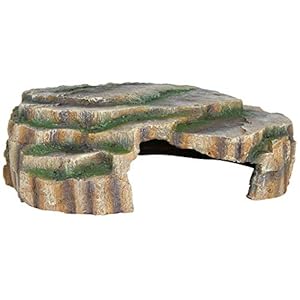 TRIXIE Reptilienhöhle Regenwaldoptik 30 x 10 x 25 cm