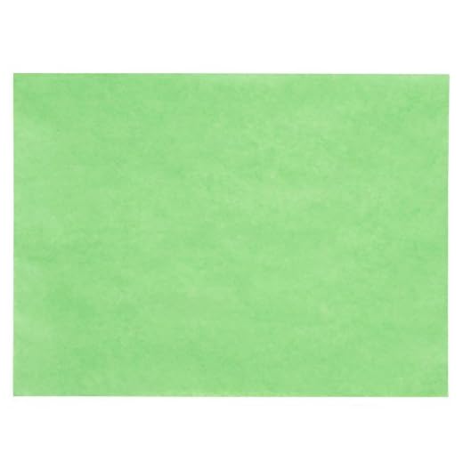 GreenTreat Steak Paper Sheets - 9" x 12"