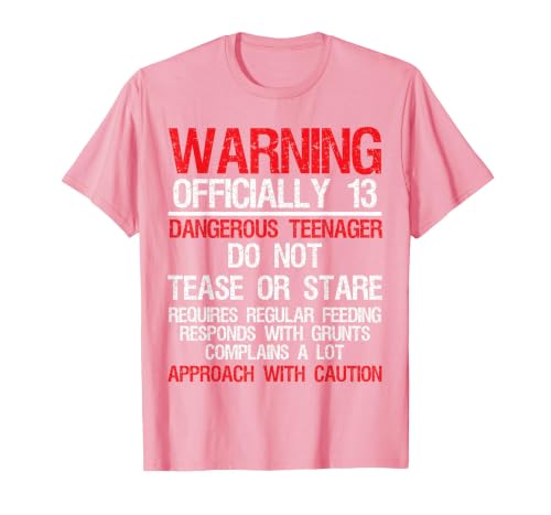 13 Years Old Warning Dangerous Teenager 13th Birthday T-Shirt, Men, Pink, Small