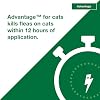 Advantage Topical Cat Flea Treatment and Prevention for Small Cats 2-9 lbs. | Apply Flea Drops Monthly | 2 Treatments