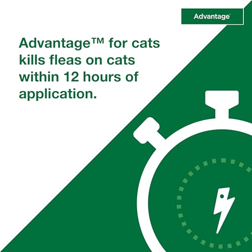 Advantage Topical Cat Flea Treatment and Prevention for Large Cats Over 9 lbs. | Apply Flea Drops Monthly | 2 Treatments - Image 4