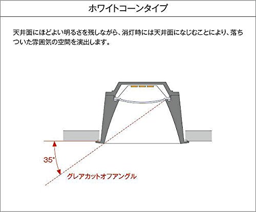 Amazon.co.jp: 大光電機（DAIKO） ダウンライト(軒下兼用) LED