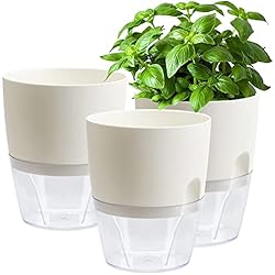 Macetero Transparente Ikea GiReich 3 Piezas Macetas con Riego Automático, Blanco 15.3cm Ancho, Auto Riego Plantador Interiores y Exterior con Cuerda Algondón para Agua Hierbas Autorriego para Interiores Oficinas