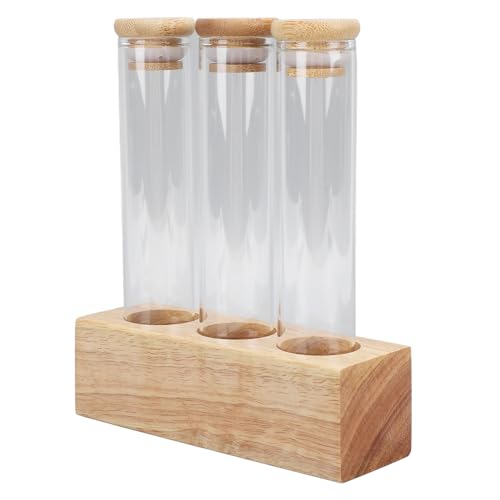 Asixxsix Bocaux de Grains de café, Tubes en Verre, Stockage