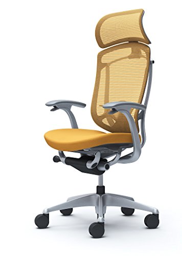 �I�J���� �I�t�B�X�`�F�A �R���e�b�T �Z�R���_ �Œ�I �G�N�X�g���n�C�o�b�N �E���^���L���X�^�[�d�l �N�b�V���� �C�G���[ CC47YE-FPD9