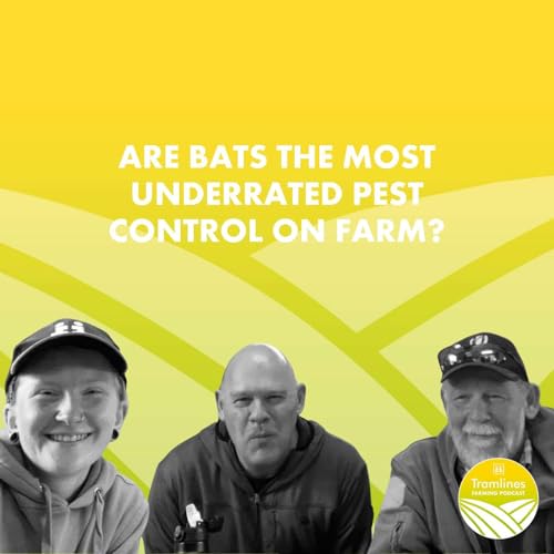 Are Bats the Most Underrated Pest Control on Farm?
