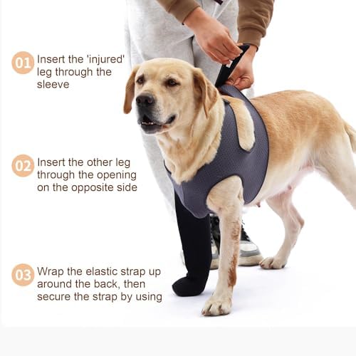 Dog Socks to Prevent Licking Paws ,Breathable Dog Leg Sleeve to Stop Licking and Biting, Firm and Secure Protect Wounds Dog Recovery Sleeve Socks(M-Right) - 1