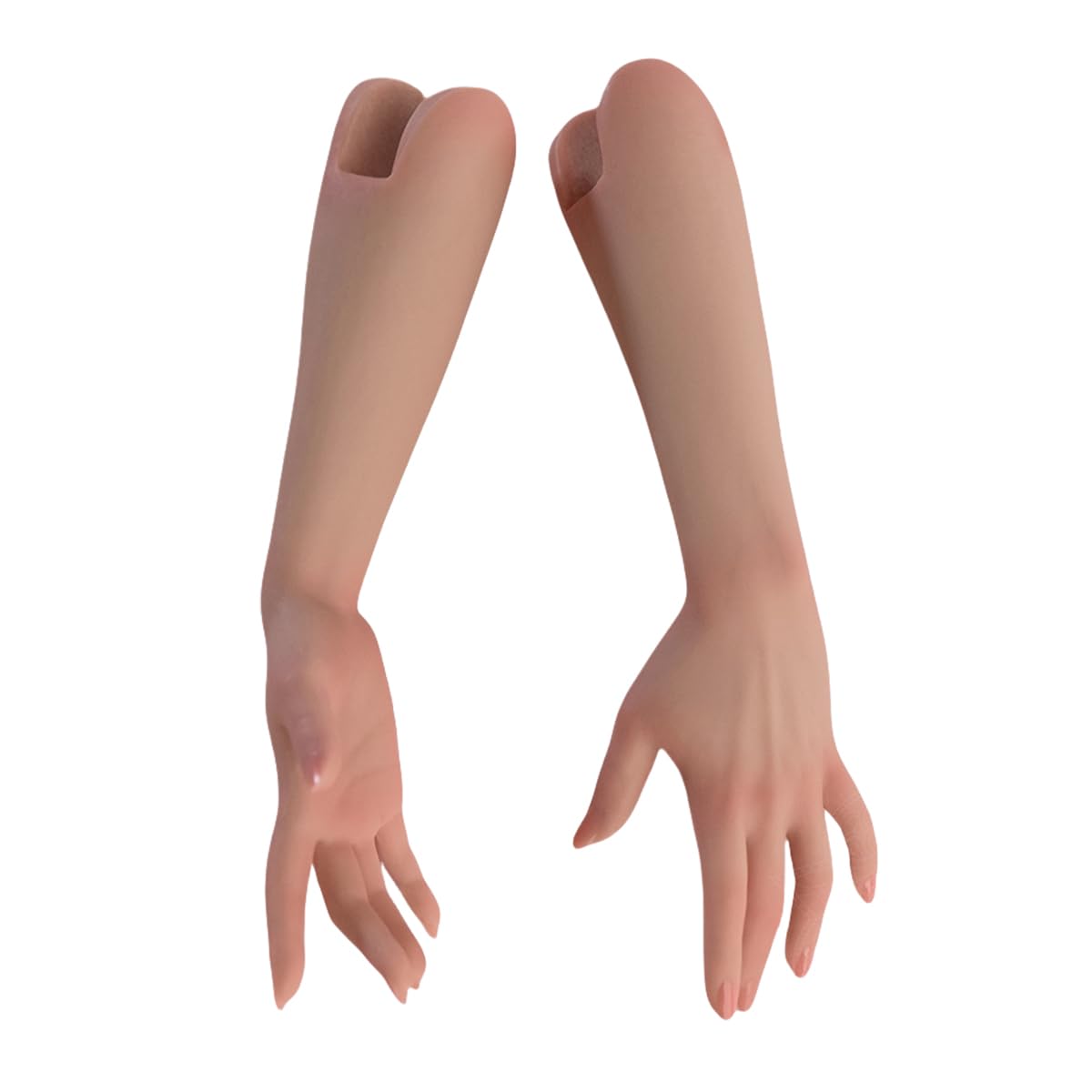 Amazon | HiPlay Worldbox 1/6 女性 フィギュア用 女性素体用一体型腕