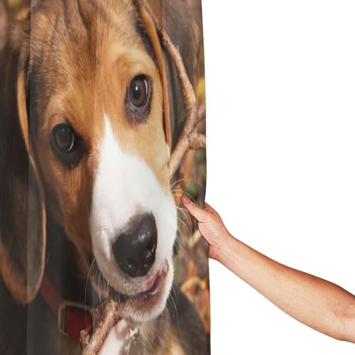 Rideau de douche beagle en polyester 183x183 cm avec 12 œillets