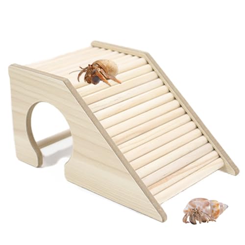 YOULJINTFA hJ̉B X[vt ؐNC~OgC  ͂ X[v ^N܂̓P[WANZT[ hJn