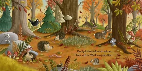 Es wird Herbst hier im Wald: Allererstes Wissen über die Jahreszeiten für Kinder ab 18 Monaten