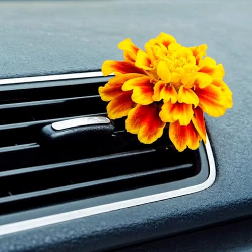 Image of Vent Clips for Freshies, 20 Pcs Auto Air Conditioner Outlet Clips Black Car Air Freshener Outlet Clip for Automotive Decoration