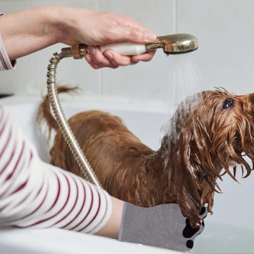 WeddHuis 2 Pcs Hundehandtuch Katzen Reinigung Handschuhe Saugfähiges Reinigungstuch Weich & Langlebig Mikrofaser Handtuch Haustiere Hunde Katze Andere Klein Tiere (Grau)