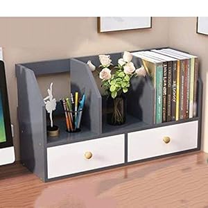 COLiJOL Boekenrek Boekenkast Desktop Boekenplank met 2 laden, Decoratieve Boekenplank Kantoorlade Type Opbergrek voor…