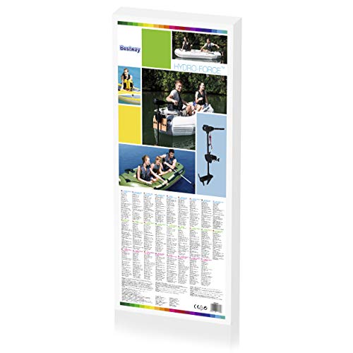 Bestway 65043 Motore Elettrico, Nero