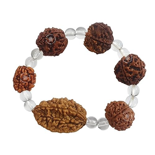 Rudraksha Bracelet For Men & Womens 2 Face , 3 Mukhi , 4 Mukhi , 5 Face , 6 Mukhi , 7 Mukhi Stretchable Himalayan Rudraksha Beads Wrist Band for Yoga, Meditation Healing (Compy fit for wrists up to 7-7.75 inch)
