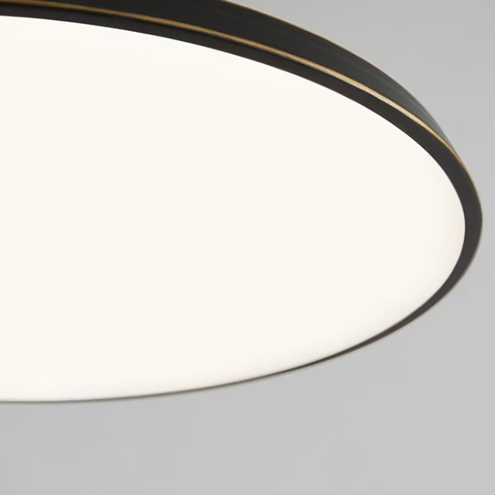 Nordycka Okrągła Lampy Sufitowa LED, Obracana Głowica Mała Lampy Sufitowe Niski Profil Minimalistyczne do Korytarza Przedpokoju(Black(6000K),20cm/7.87in)