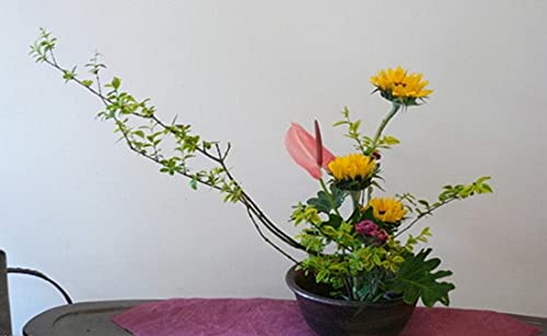 JapanBargain 2301, Flower Frog Japanese Ikebana Kenzan for Flower Arrangements Brass Floral Arranging Pin Needle Holder Sun and Moon Made in Japan, 3-3/4" x 2-1/4" - Thumbnail 7