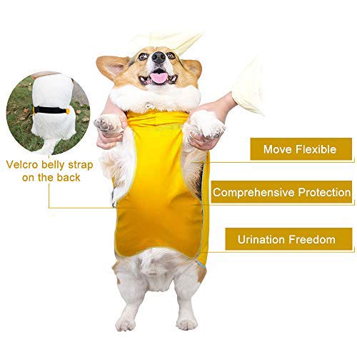 Dog Raincoat With Hood For Medium Dog,Luccalily Waterproof Dog Rain Jacket With Reflective Strip Adjustable Belly Strap Lightweight Poncho With Storage Bag (Medium, Yellow) #TOP1