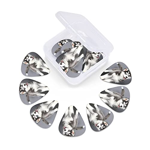 Ensemble de 12 médiators de guitare pour chien Husky mignon pour guitare acoustique, guitare électrique, contrebasse… - Les Beatles, Paul McCartney, John Lennon, RIngo Starr, George Harrison Ensemble de 12 médiators de guitare pour chien Husky mignon pour guitare acoustique, guitare électrique, contrebasse… – Image 7