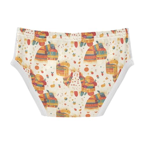visesunny Boys Potty Training Underwear Alpaca Color Blanket Market Breathe Cotton Briefs Size 2T-8Y for Toddler2