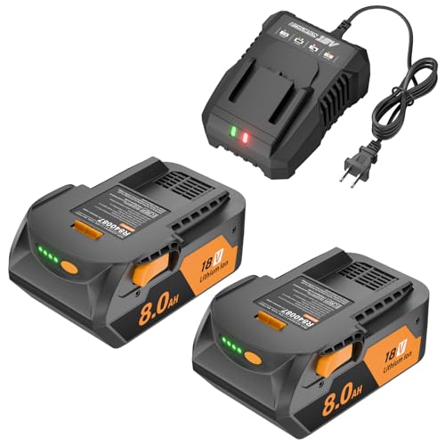 2Pack 8000mAh for Ridgid 18V Battery and Charger with LED Power Display Replacement R840087 R840086 R840085 R840083 R840089 AC840085 AC840086 AC840087P AC840089 and More Tools