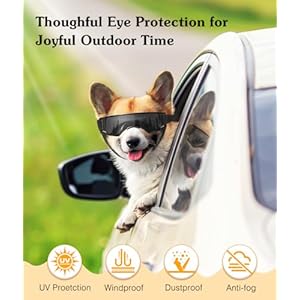 Dog-Goggles-Small-Breed-UV-Protection-Dog-Sunglasses-with-Adjustable-Strap-Windproof-Dustproof-Anti-Fog-Dog-Eye-Protection-Sunglasses-for-Small-Dogs-Outdoor-Driving-Riding-Black - Cucciolini Doodles   Dog-Goggles-Small-Breed-UV-Protection-Dog-Sunglasses-with-Adjustable-Strap-Windproof-Dustproof-Anti-Fog-Dog-Eye-Protection-Sunglasses-for-Small-Dogs-Outdoor-Driving-Riding-Black