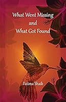 What Went Missing and What Got Found 1883275253 Book Cover